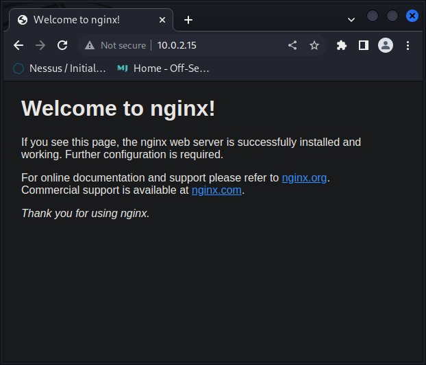 default nginx