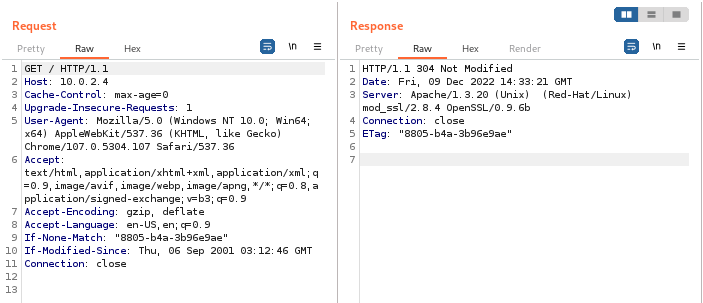 Server header disclose version information